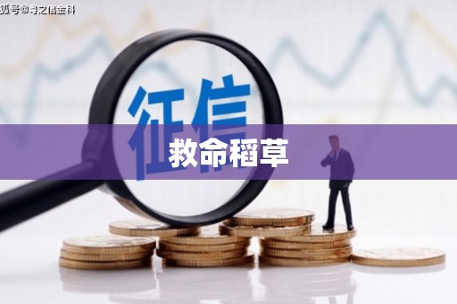 桐乡救命稻草
