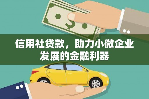 桐乡信用社贷款，助力小微企业发展的金融利器