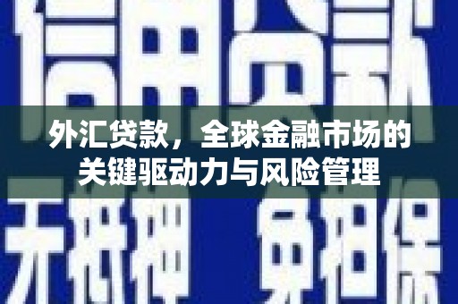 桐乡外汇贷款，全球金融市场的关键驱动力与风险管理