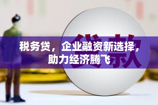 桐乡税务贷，企业融资新选择，助力经济腾飞