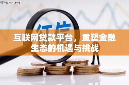 桐乡互联网贷款平台，重塑金融生态的机遇与挑战