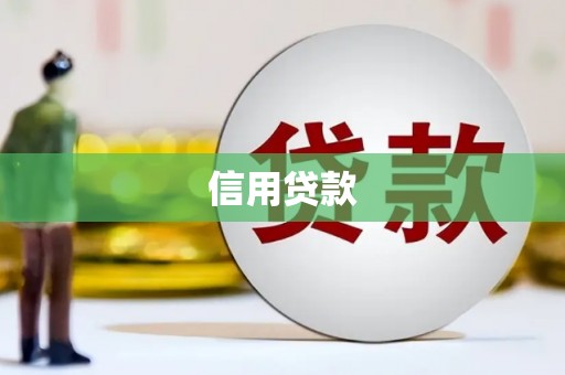 桐乡信用贷款