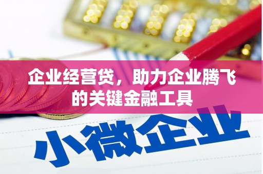 桐乡企业经营贷，助力企业腾飞的关键金融工具