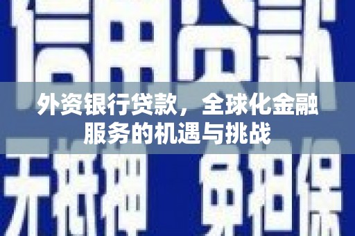 桐乡外资银行贷款，全球化金融服务的机遇与挑战