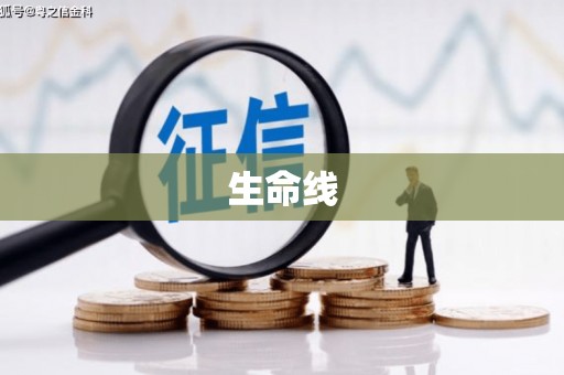 桐乡生命线