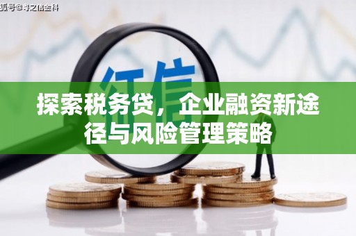 桐乡探索税务贷，企业融资新途径与风险管理策略