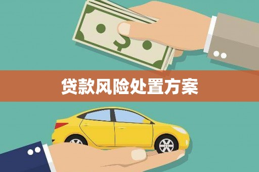 桐乡贷款风险处置方案