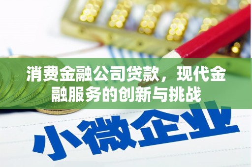 桐乡消费金融公司贷款，现代金融服务的创新与挑战