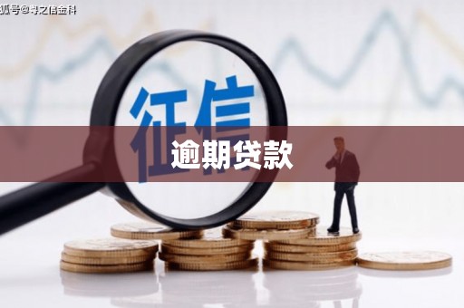 桐乡逾期贷款