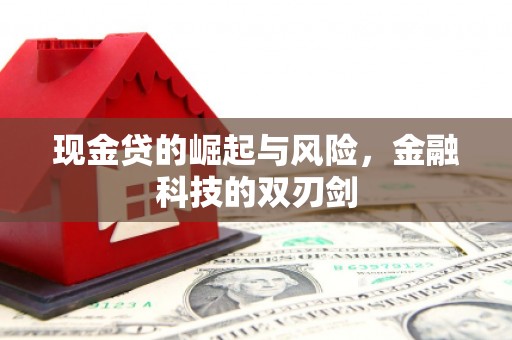桐乡现金贷的崛起与风险，金融科技的双刃剑