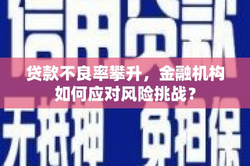 桐乡贷款不良率攀升，金融机构如何应对风险挑战？