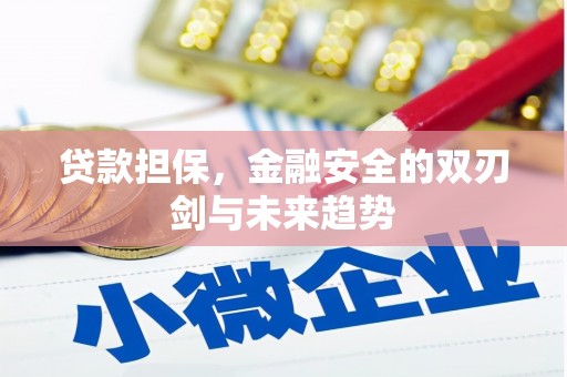 桐乡贷款担保，金融安全的双刃剑与未来趋势