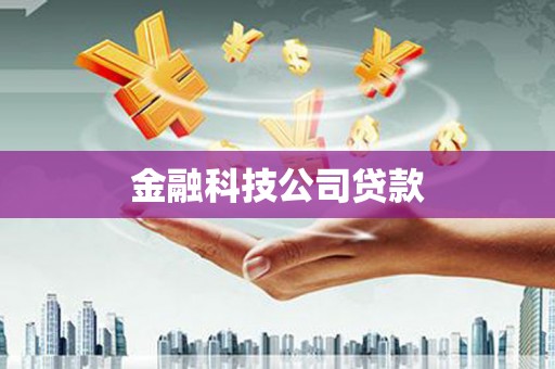 桐乡金融科技公司贷款