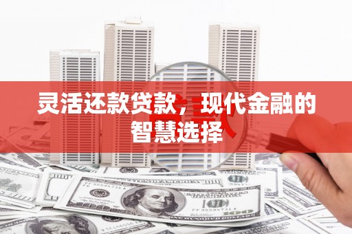桐乡灵活还款贷款，现代金融的智慧选择