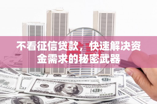 桐乡不看征信贷款，快速解决资金需求的秘密武器