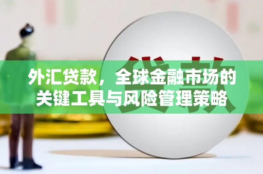 桐乡外汇贷款，全球金融市场的关键工具与风险管理策略