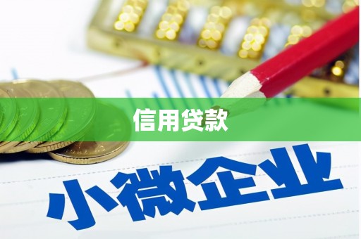 桐乡信用贷款