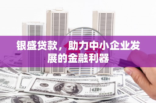 桐乡银盛贷款，助力中小企业发展的金融利器