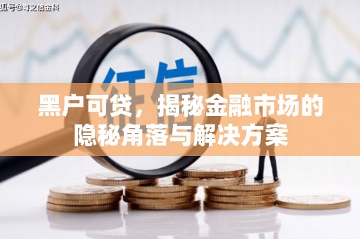 桐乡黑户可贷，揭秘金融市场的隐秘角落与解决方案