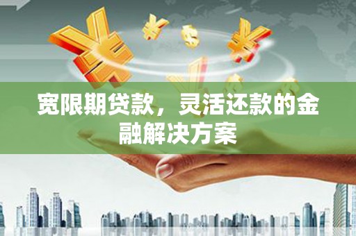 桐乡宽限期贷款，灵活还款的金融解决方案