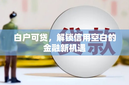 桐乡白户可贷，解锁信用空白的金融新机遇