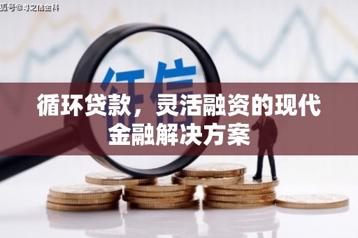 桐乡循环贷款，灵活融资的现代金融解决方案