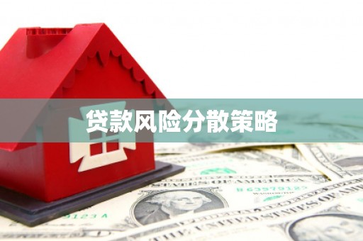 桐乡贷款风险分散策略