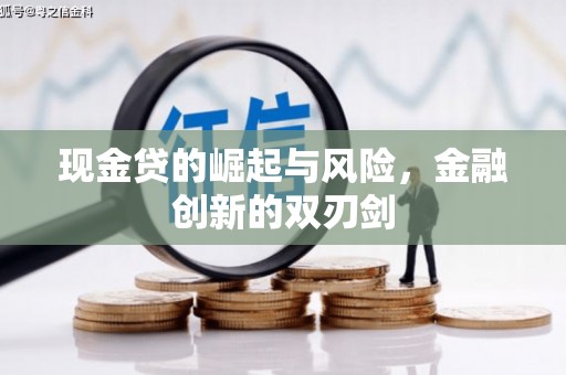 桐乡现金贷的崛起与风险，金融创新的双刃剑