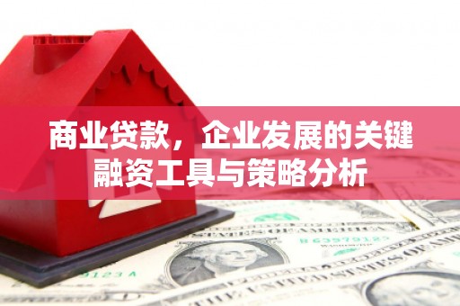 桐乡商业贷款，企业发展的关键融资工具与策略分析