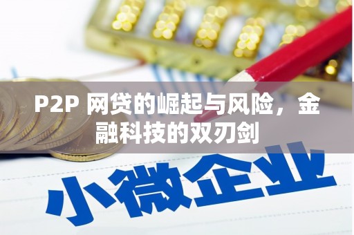 桐乡P2P 网贷的崛起与风险，金融科技的双刃剑