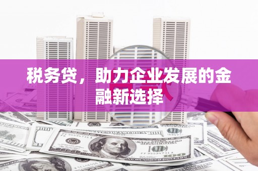 桐乡税务贷，助力企业发展的金融新选择