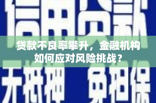 桐乡贷款不良率攀升，金融机构如何应对风险挑战？
