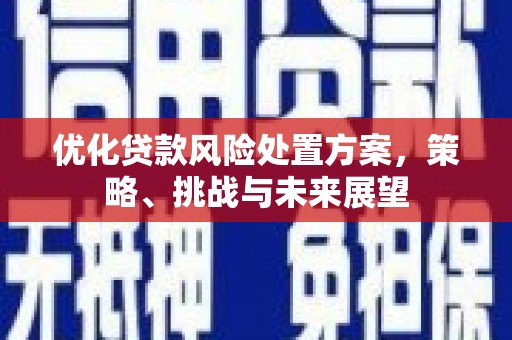 桐乡优化贷款风险处置方案，策略、挑战与未来展望