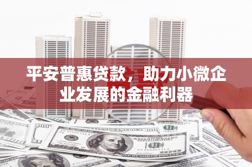 桐乡平安普惠贷款，助力小微企业发展的金融利器