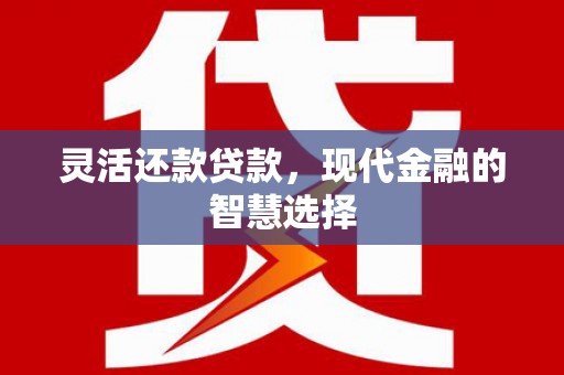 桐乡灵活还款贷款，现代金融的智慧选择