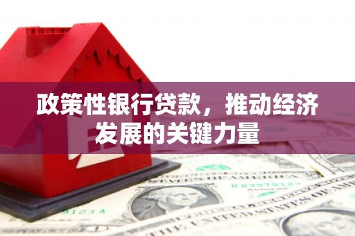 桐乡政策性银行贷款，推动经济发展的关键力量