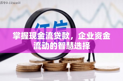 桐乡掌握现金流贷款，企业资金流动的智慧选择