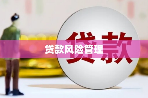 桐乡贷款风险管理