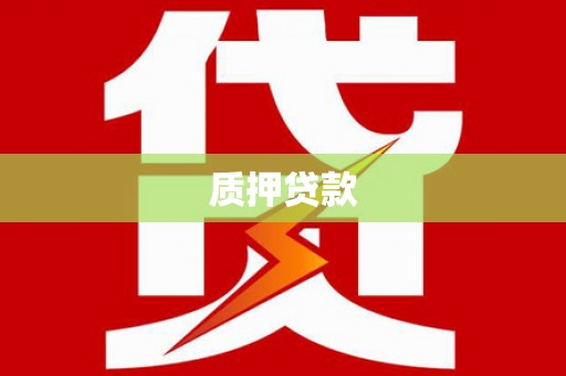 桐乡质押贷款