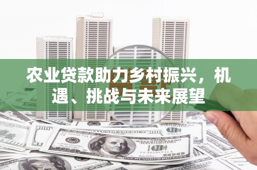 桐乡农业贷款助力乡村振兴，机遇、挑战与未来展望