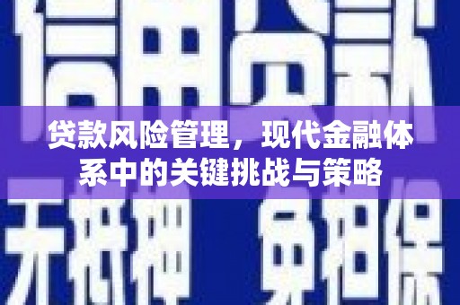 桐乡贷款风险管理，现代金融体系中的关键挑战与策略