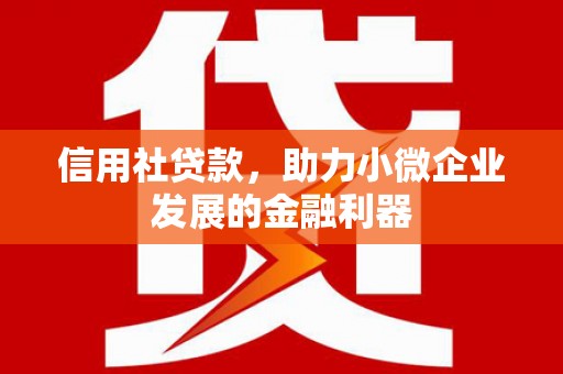 桐乡信用社贷款，助力小微企业发展的金融利器