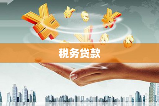桐乡税务贷款