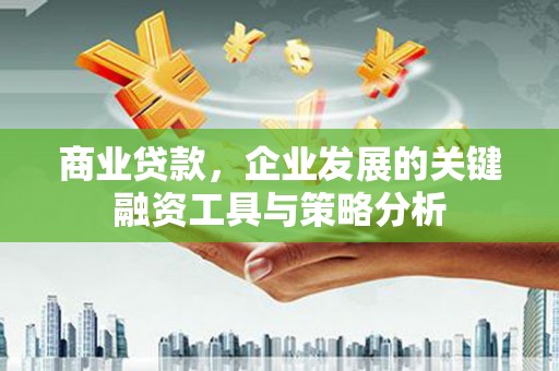 桐乡商业贷款，企业发展的关键融资工具与策略分析