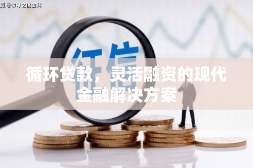 桐乡循环贷款，灵活融资的现代金融解决方案