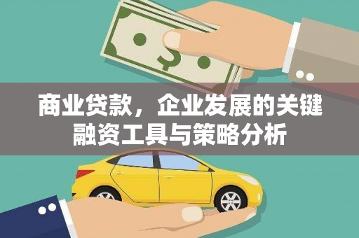 桐乡商业贷款，企业发展的关键融资工具与策略分析