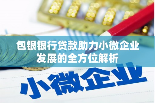 桐乡包银银行贷款助力小微企业发展的全方位解析