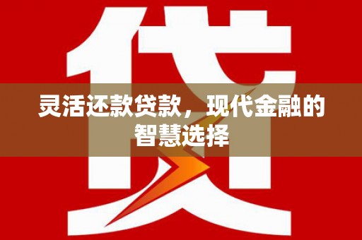 桐乡灵活还款贷款，现代金融的智慧选择