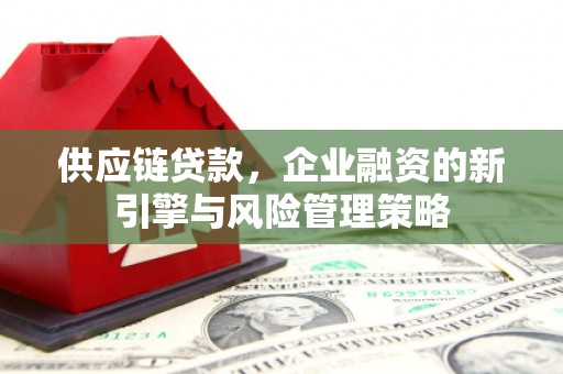 桐乡供应链贷款，企业融资的新引擎与风险管理策略