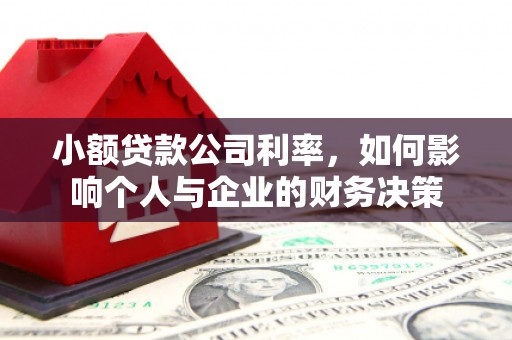 桐乡小额贷款公司利率，如何影响个人与企业的财务决策